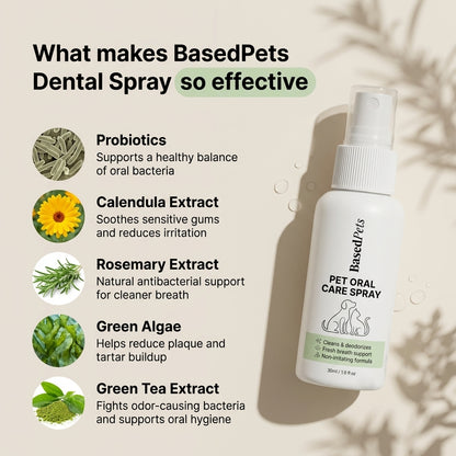 Based Dental Spray