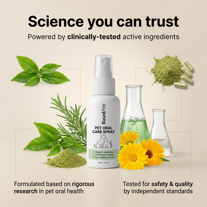 Based Dental Spray