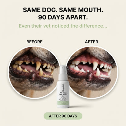 Based Dental Spray
